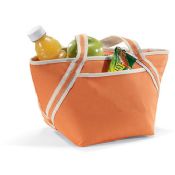 Bolsa nevera de picnic images