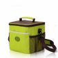 bottle can lunch cooler bag small picture