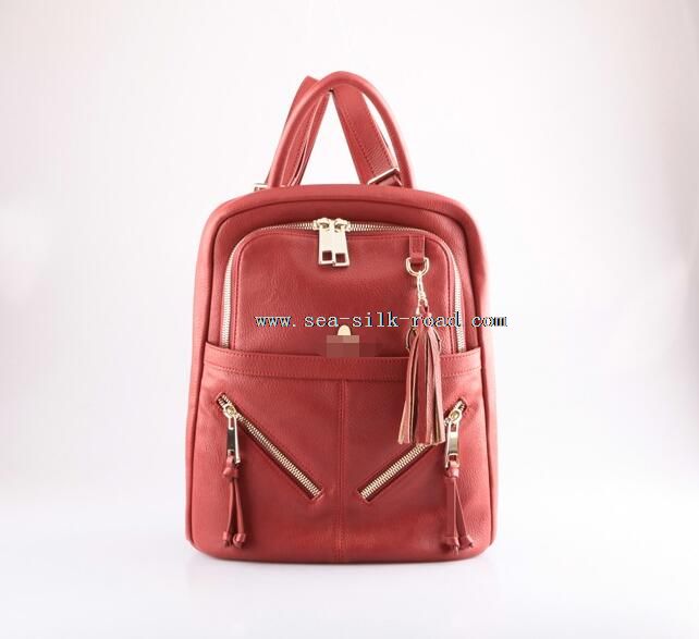 leisure backpack bag