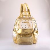 vintage transparent PU back pack images