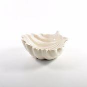 Sea shell hvite små keramiske fat images