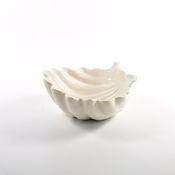 Sea shell blanc céramique cassolette images