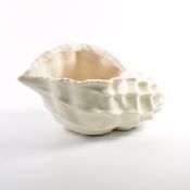 hvite dekorasjonen gave art craft porselen konkylie shell images
